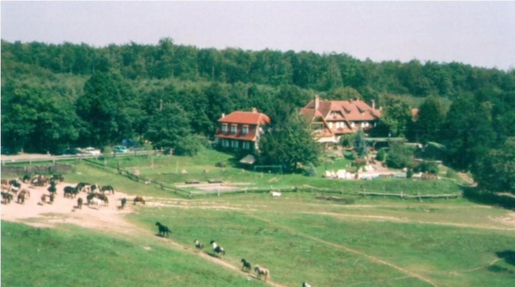 오베르하슬락 Le Neufeld B&B 외부 사진